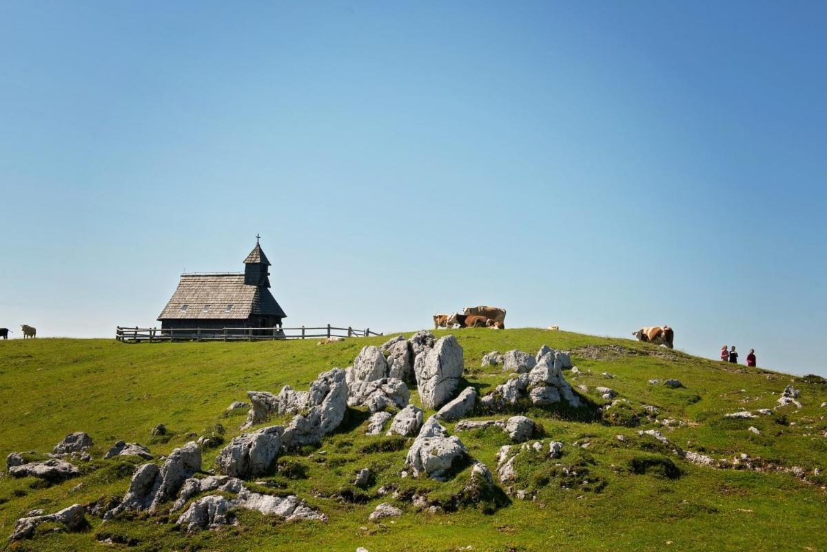 Koca Predilnica Velika Planina Villa Kamniska Bistrica Eksteriør bilde