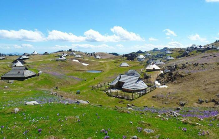 Koca Predilnica Velika Planina Villa Kamniska Bistrica Eksteriør bilde