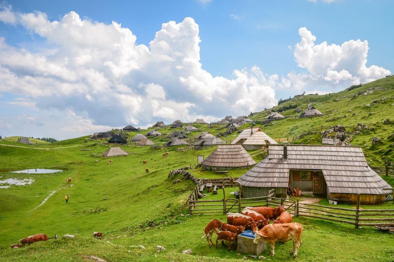 Koca Predilnica Velika Planina Villa Kamniska Bistrica Eksteriør bilde